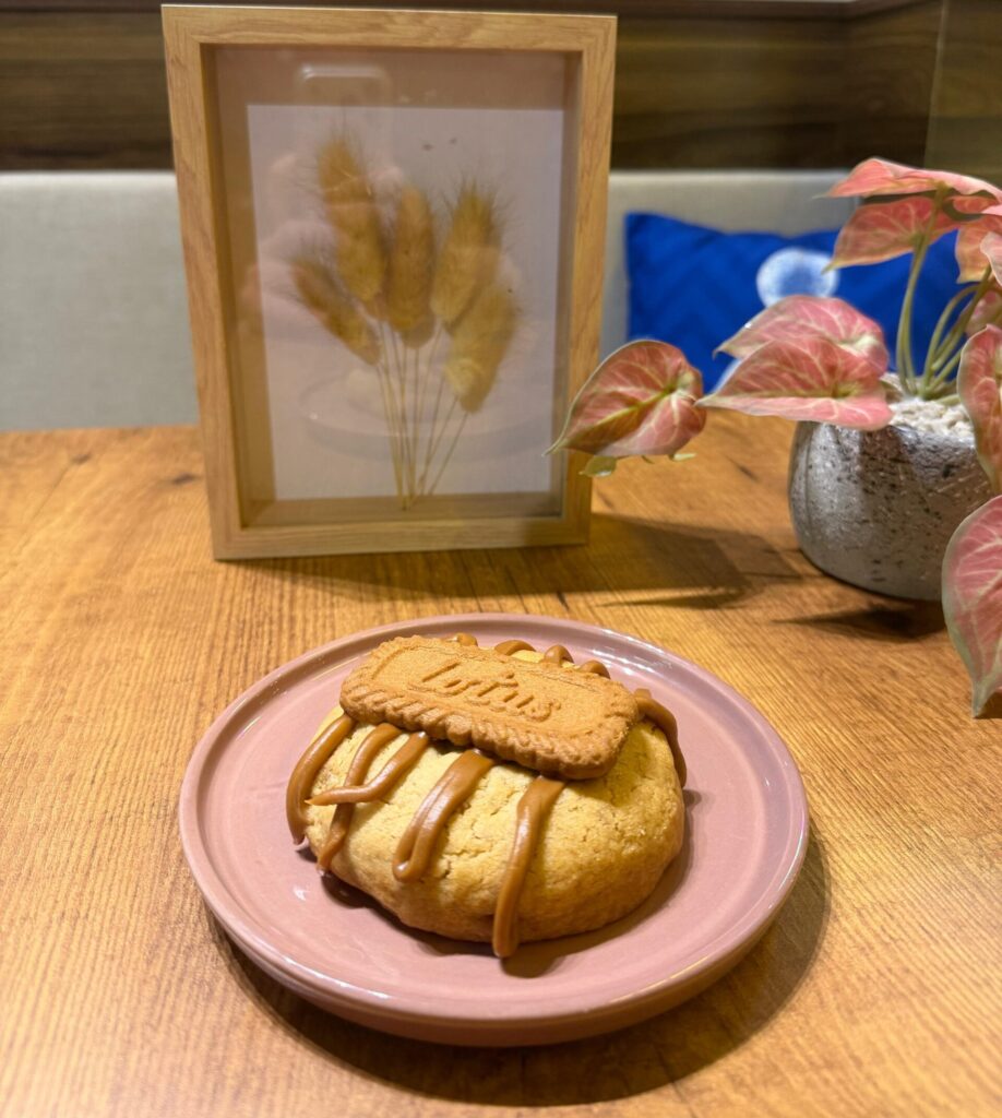 whatsapp image 2026 03 03 at 23.21.31 (3)